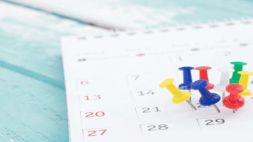 Top Calendar Picks for 2024 at Just Calendars US Store